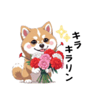 あなたへ贈る花束、柴犬普段使い♡（個別スタンプ：40）