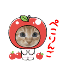 CAThappy11（個別スタンプ：1）