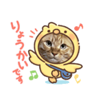 CAThappy11（個別スタンプ：5）
