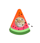 CAThappy11（個別スタンプ：8）