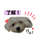 もちこスタンプU^ェ^U（個別スタンプ：2）