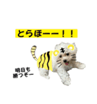 もちこスタンプU^ェ^U（個別スタンプ：6）