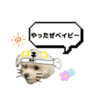 もちこスタンプU^ェ^U（個別スタンプ：7）