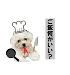 もちこスタンプU^ェ^U（個別スタンプ：13）