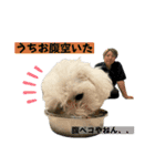もちこスタンプU^ェ^U（個別スタンプ：16）