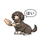ダックス(ロング＋チョコクリーム）（個別スタンプ：6）