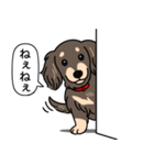 ダックス(ロング＋チョコクリーム）（個別スタンプ：12）