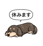 ダックス(ロング＋チョコクリーム）（個別スタンプ：16）