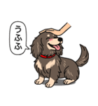ダックス(ロング＋チョコクリーム）（個別スタンプ：19）