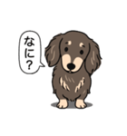 ダックス(ロング＋チョコクリーム）（個別スタンプ：22）