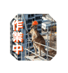 ムキムキマッチョカンガルー職人編（個別スタンプ：11）