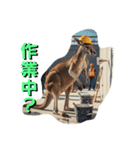 ムキムキマッチョカンガルー職人編（個別スタンプ：14）