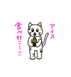 夏のネコにゃーたち（個別スタンプ：3）