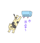 夏のネコにゃーたち（個別スタンプ：8）