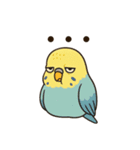 やる気がないセキセイインコ（個別スタンプ：1）