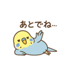 やる気がないセキセイインコ（個別スタンプ：3）