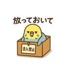 やる気がないセキセイインコ（個別スタンプ：9）