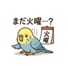 やる気がないセキセイインコ（個別スタンプ：11）