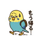 やる気がないセキセイインコ（個別スタンプ：16）