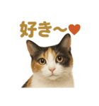 リアルすぎる三毛猫のやさしい日常感情表現（個別スタンプ：4）