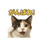 リアルすぎる三毛猫のやさしい日常感情表現（個別スタンプ：5）