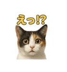 リアルすぎる三毛猫のやさしい日常感情表現（個別スタンプ：7）