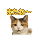 リアルすぎる三毛猫のやさしい日常感情表現（個別スタンプ：10）