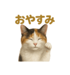 リアルすぎる三毛猫のやさしい日常感情表現（個別スタンプ：13）