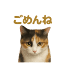 リアルすぎる三毛猫のやさしい日常感情表現（個別スタンプ：15）