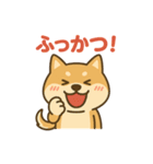 レバナス犬（個別スタンプ：16）