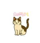 シンプルで使いやすいねこスタンプ（個別スタンプ：3）