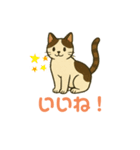 シンプルで使いやすいねこスタンプ（個別スタンプ：11）