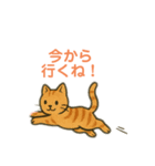 シンプルで使いやすいねこスタンプ（個別スタンプ：14）