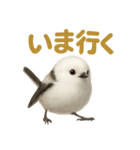 リアルなシマエナガのやさしい日常スタンプ（個別スタンプ：1）