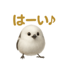 リアルなシマエナガのやさしい日常スタンプ（個別スタンプ：4）