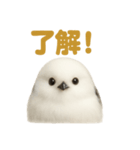 リアルなシマエナガのやさしい日常スタンプ（個別スタンプ：9）