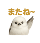 リアルなシマエナガのやさしい日常スタンプ（個別スタンプ：10）