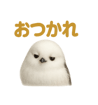 リアルなシマエナガのやさしい日常スタンプ（個別スタンプ：11）