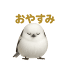 リアルなシマエナガのやさしい日常スタンプ（個別スタンプ：13）
