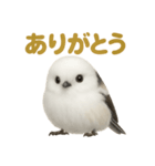 リアルなシマエナガのやさしい日常スタンプ（個別スタンプ：15）