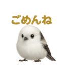 リアルなシマエナガのやさしい日常スタンプ（個別スタンプ：16）