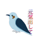 フリー動物スタンプ05（個別スタンプ：11）