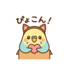 大好きセキセイインコ（個別スタンプ：6）