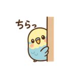 大好きセキセイインコ（個別スタンプ：8）