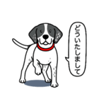 イングリッシュポインター(ブラック）①（個別スタンプ：3）