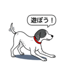 イングリッシュポインター(ブラック）①（個別スタンプ：6）