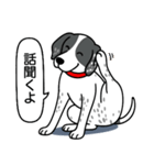 イングリッシュポインター(ブラック）①（個別スタンプ：8）