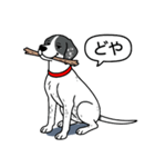 イングリッシュポインター(ブラック）①（個別スタンプ：9）