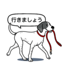 イングリッシュポインター(ブラック）①（個別スタンプ：10）