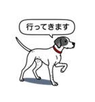 イングリッシュポインター(ブラック）①（個別スタンプ：11）